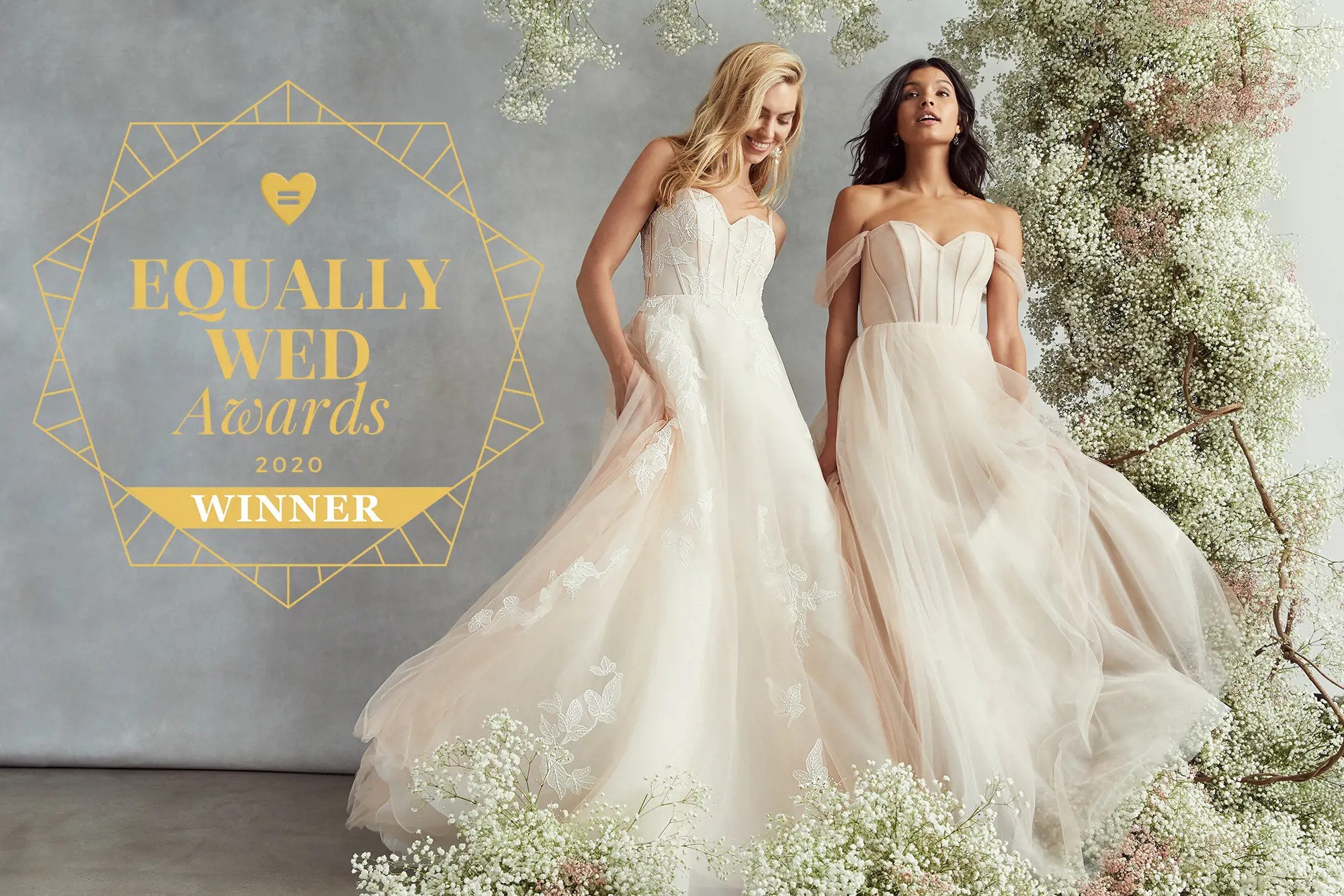 KELLY FAETANINI WINS BEST LGBTQ+ INCLUSIVE BRAND AWARD! Image