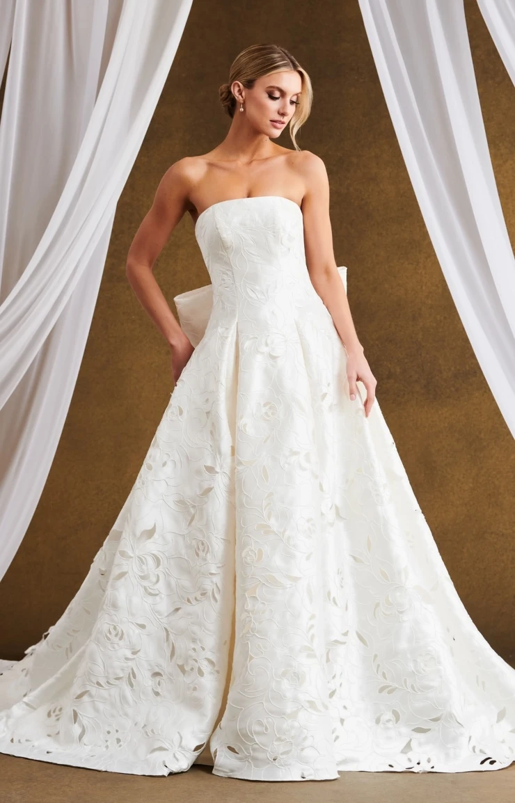 Kelly Faetanini Regalia #0 default picture